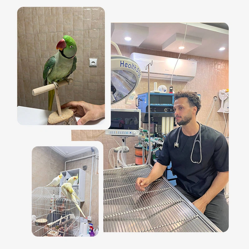 درباره دكـتر محمدرضا رودکـی | بورد تخصصی بهداشت و بيماري هاي پرندگان