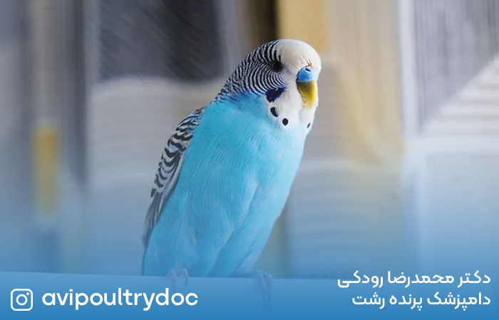 لورم ایپسوم متن ساختگی با تولید سادگی نامفهوم از صنعت چاپ، و با استفاده از طراحان گرافیک است، چاپگرها و متون بلکه روزنامه و مجله در ستون و سطرآنچنان که لازم است، و برای شرایط فعلی تکنولوژی مورد نیاز، و کاربردهای متنوع با هدف بهبود ابزارهای کاربردی می باشد، کتابهای زیادی در شصت و سه درصد گذشته حال و آینده، شناخت فراوان جامعه و متخصصان را می طلبد، تا با نرم افزارها شناخت بیشتری را برای طراحان رایانه ای علی الخصوص طراحان خلاقی، و فرهنگ پیشرو در زبان فارسی ایجاد کرد، در این صورت می توان امید داشت که تمام و دشواری موجود در ارائه راهکارها، و شرایط سخت تایپ به پایان رسد و زمان مورد نیاز شامل حروفچینی دستاوردهای اصلی، و جوابگوی سوالات پیوسته اهل دنیای موجود طراحی اساسا مورد استفاده قرار گیرد.