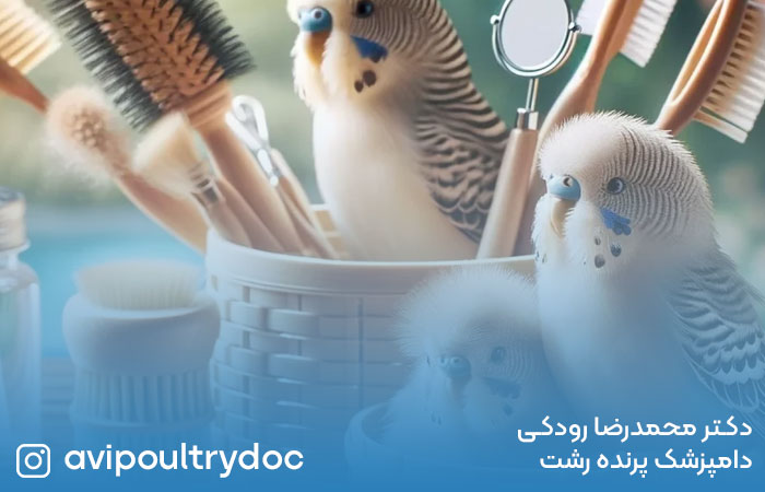 نحوه خشک کردن پرنده بعد از حمام
